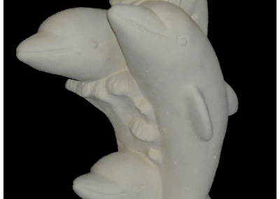 Quad Dolphin